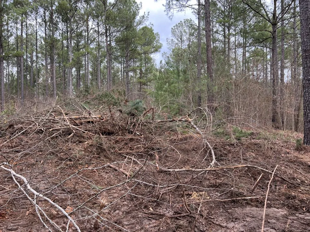 Affordable yard maintenance near you in Milledgeville, GA by Culberson & Son Land Management