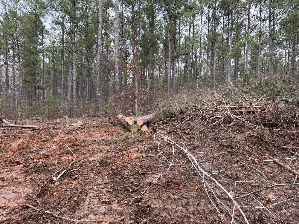 Professional outdoor landscaping experts serving Milledgeville, GA - Culberson & Son Land Management