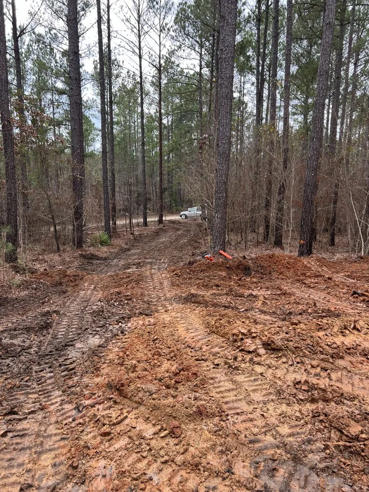 Reliable yard maintenance for year-round maintenance across Milledgeville, GA - Culberson & Son Land Management