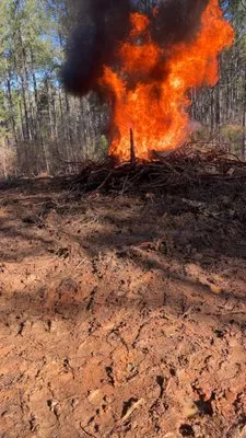 Culberson & Son Land Management