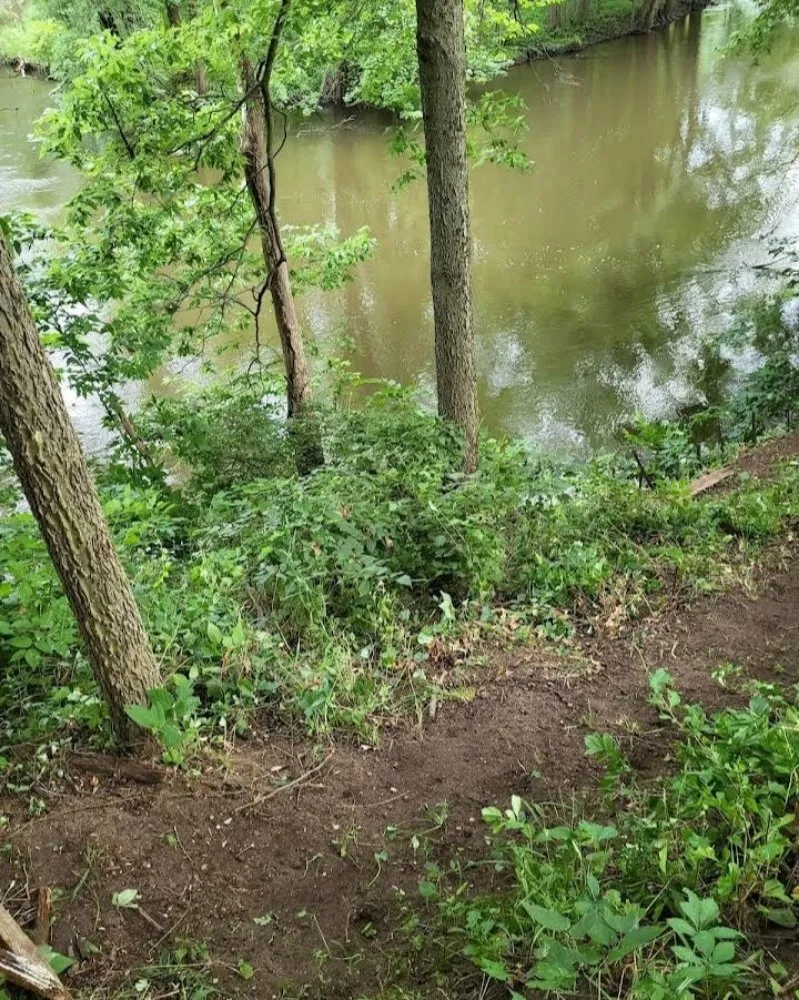 Top-rated landscaping services in Three Rivers, MI by Culbertson Custom Yard