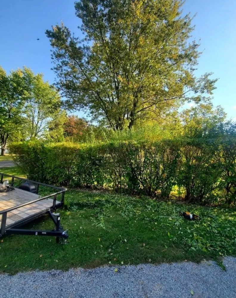 Expert lawn care service in Three Rivers, MI - Culbertson Custom Yard