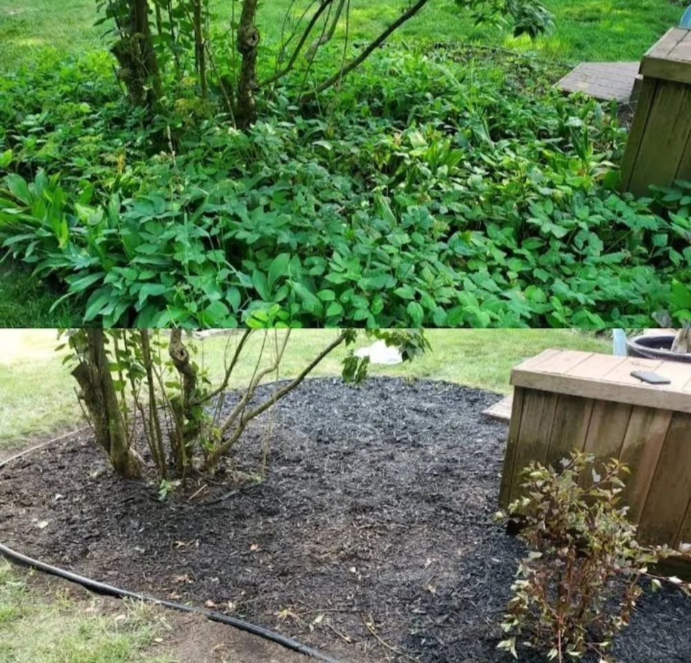 Trusted yard cleanup service for homes across Three Rivers, MI - Culbertson Custom Yard