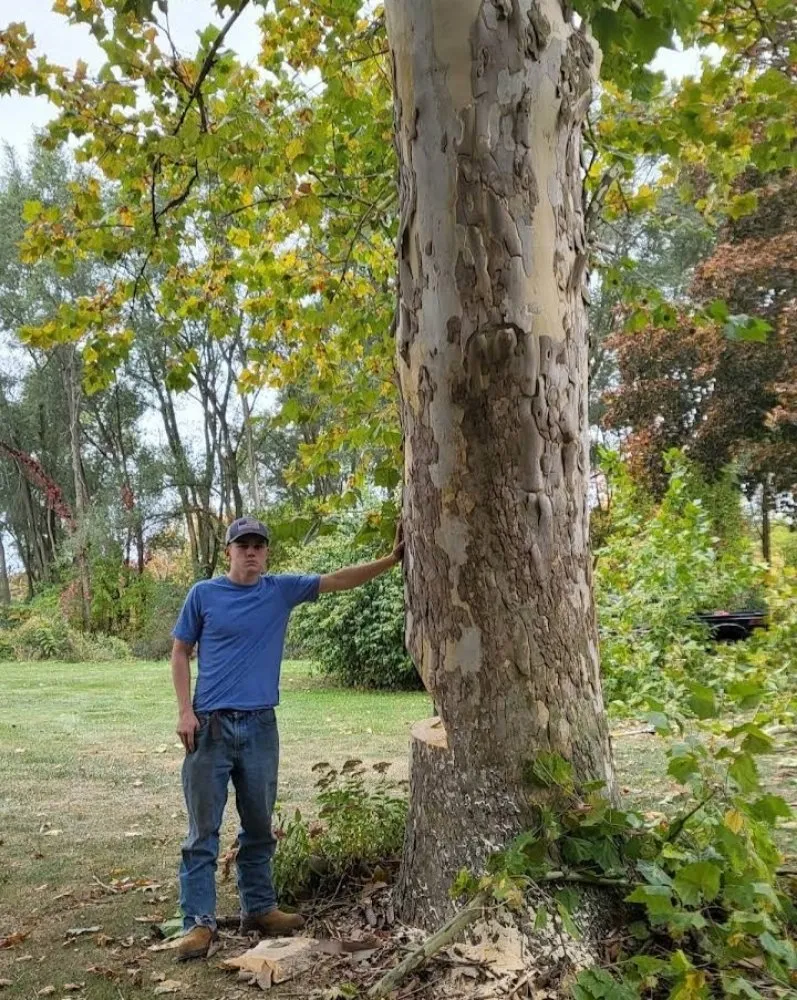 Expert landscape design in Three Rivers, MI - Culbertson Custom Yard