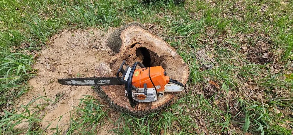 Top-rated landscaping services for homes across De Motte, IN - Culbreth's Lawn & Tree