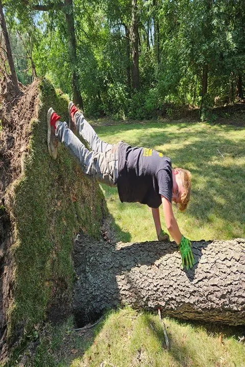 Reliable yard maintenance in De Motte, IN - Culbreth's Lawn & Tree