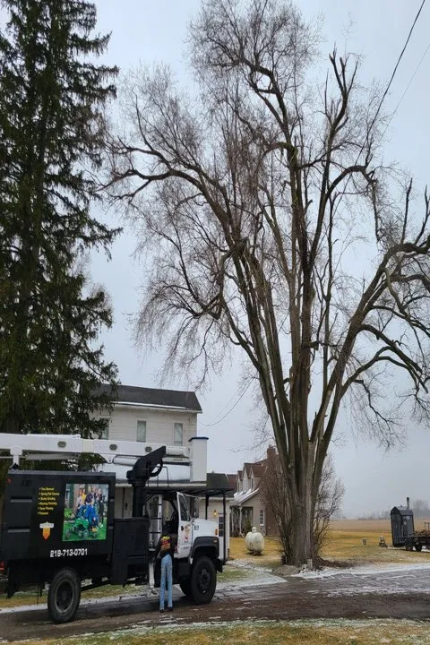 Affordable lawn care service in De Motte, IN - Culbreth's Lawn & Tree