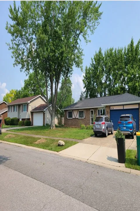 Professional yard cleanup service in De Motte, IN - Culbreth's Lawn & Tree