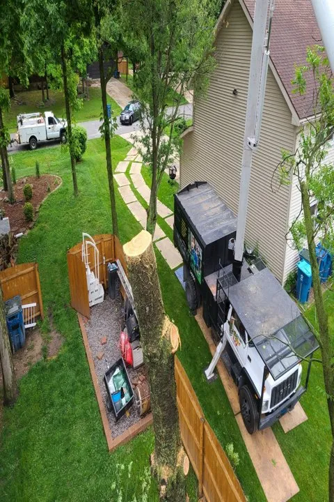 Custom yard cleanup service for homes in De Motte, IN by Culbreth's Lawn & Tree