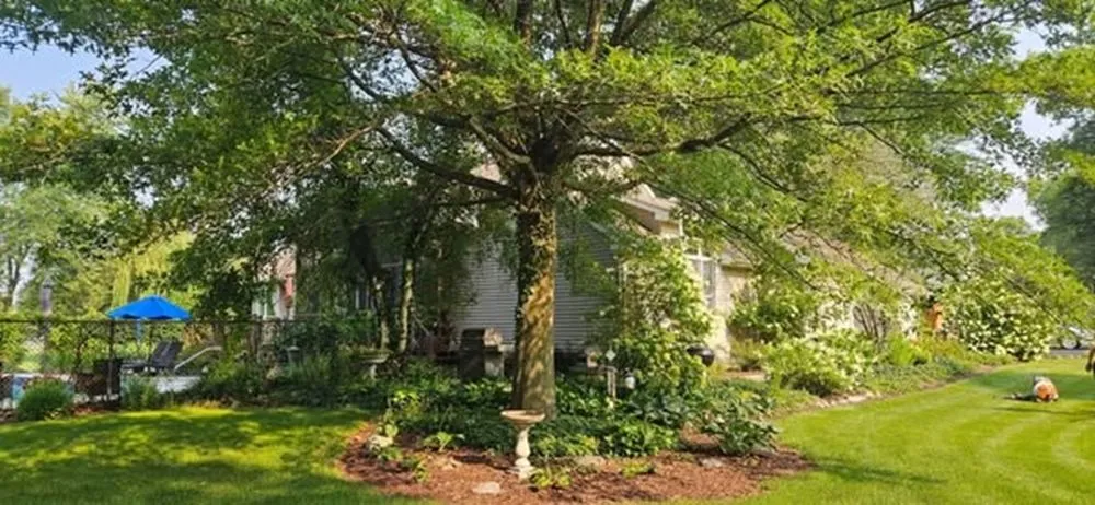 Top-rated lawn care service in De Motte, IN by Culbreth's Lawn & Tree