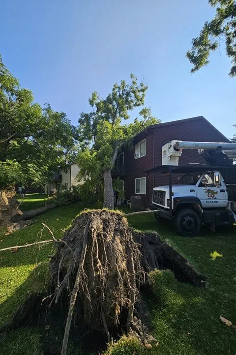 Professional lawn care service experts serving De Motte, IN - Culbreth's Lawn & Tree