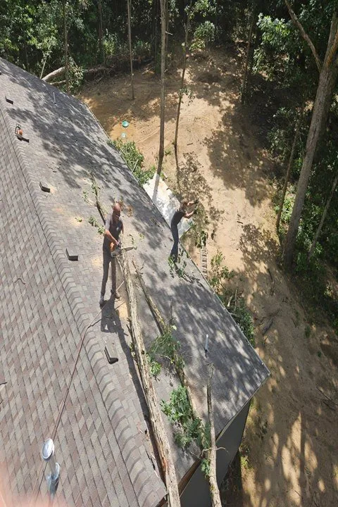 Trusted outdoor landscaping in De Motte, IN - Culbreth's Lawn & Tree