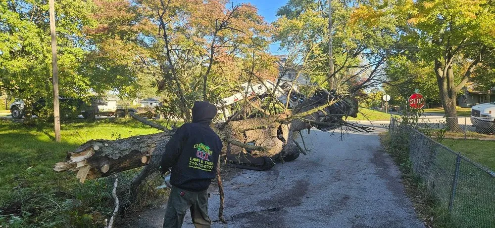 Top-rated landscape design near you across De Motte, IN - Culbreth's Lawn & Tree