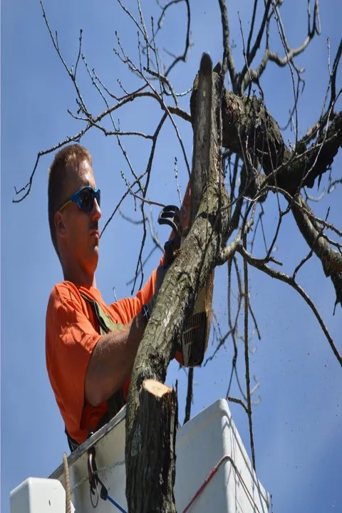 Expert landscape installation in De Motte, IN by Culbreth's Lawn & Tree