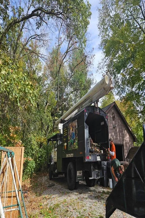 Reliable landscape installation in De Motte, IN - Culbreth's Lawn & Tree