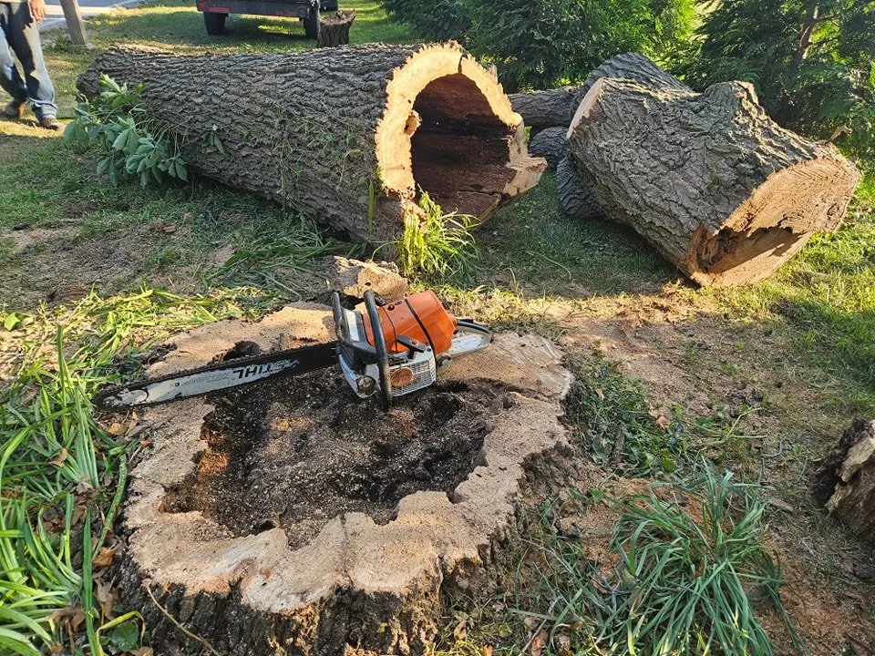 Local lawn care service in De Motte, IN by Culbreth's Lawn & Tree