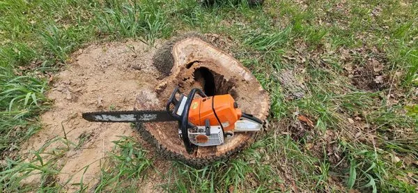 Culbreth's Lawn & Tree