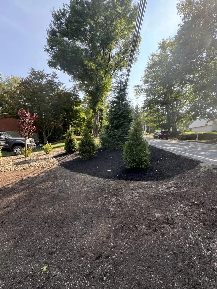 Top-rated landscape design in Gibsonia, PA by Cullen Green Landscaping