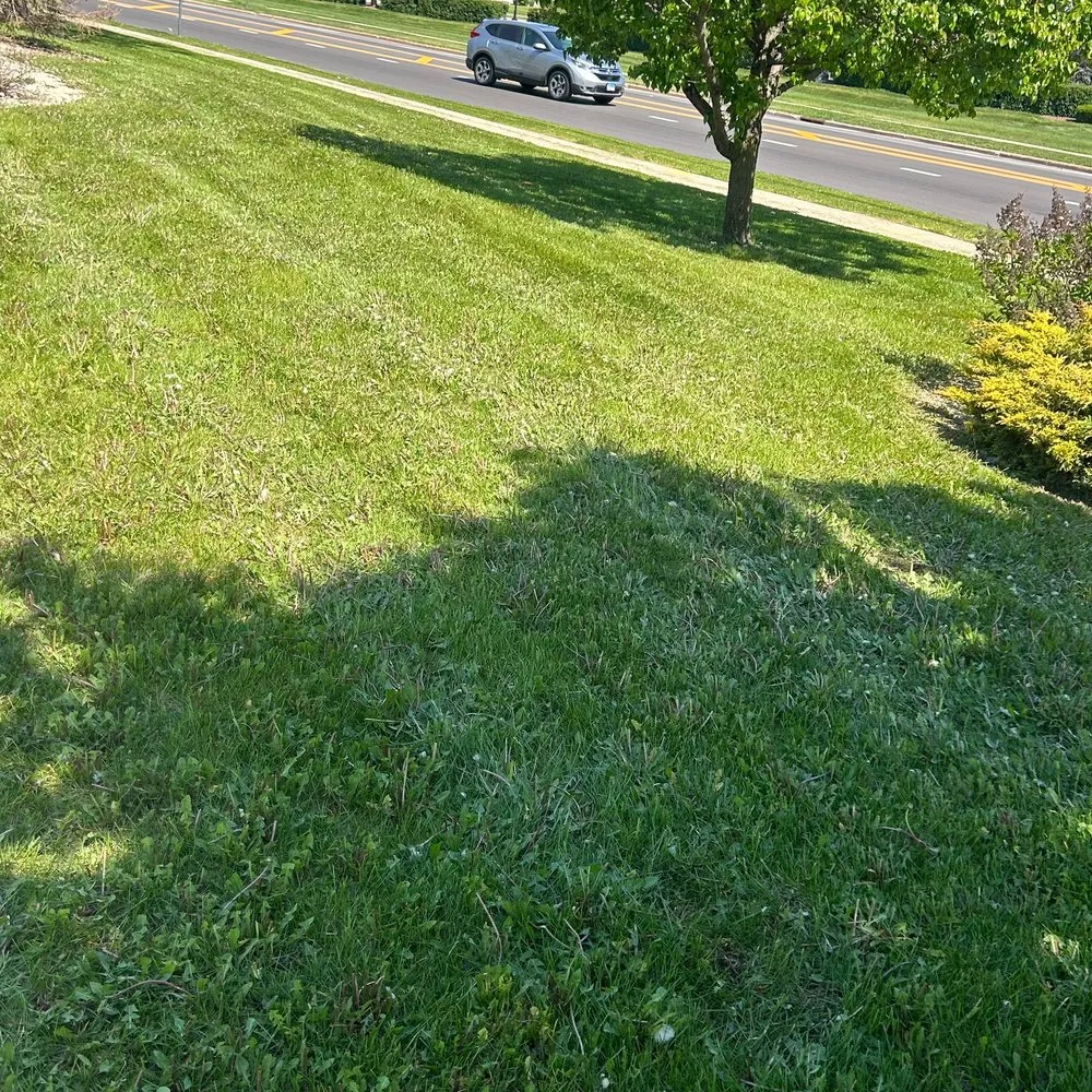 Reliable outdoor landscaping in Janesville, WI by Cullen Maintenance Services