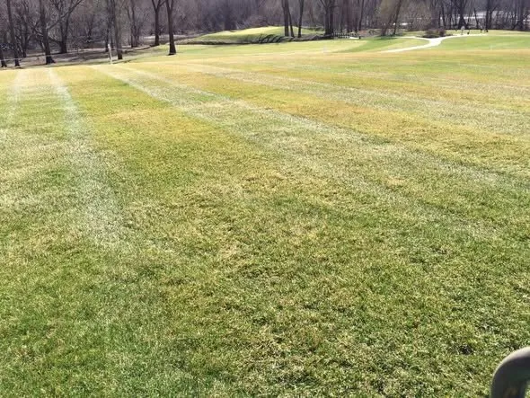 Custom landscaping services for beautiful yards across Saint Michael, MN - Cullinan Irrigation