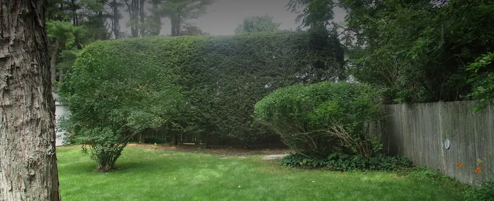 Expert lawn mowing service near you in Newton, MA by Cullins Service Landscaping, Inc