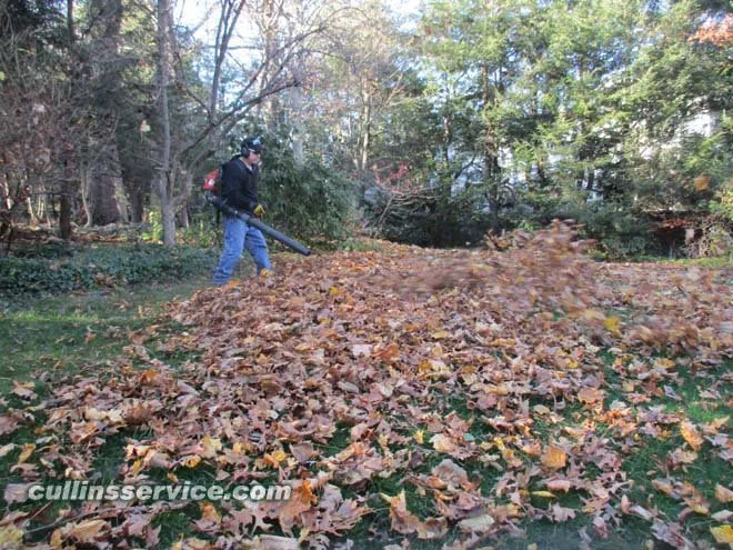 Top-rated landscaping services near you in Newton, MA by Cullins Service Landscaping, Inc