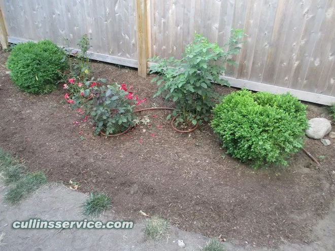 Affordable yard maintenance for homes across Newton, MA - Cullins Service Landscaping, Inc