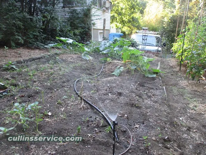 Professional landscaping services for beautiful yards across Newton, MA - Cullins Service Landscaping, Inc