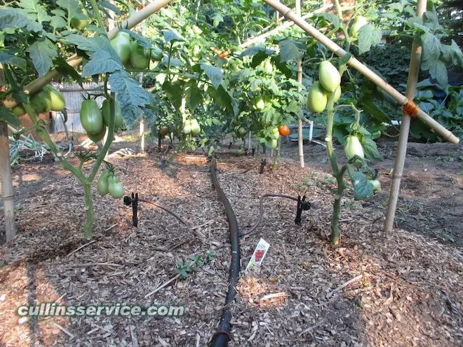 Expert residential landscaping for year-round maintenance in Newton, MA by Cullins Service Landscaping, Inc