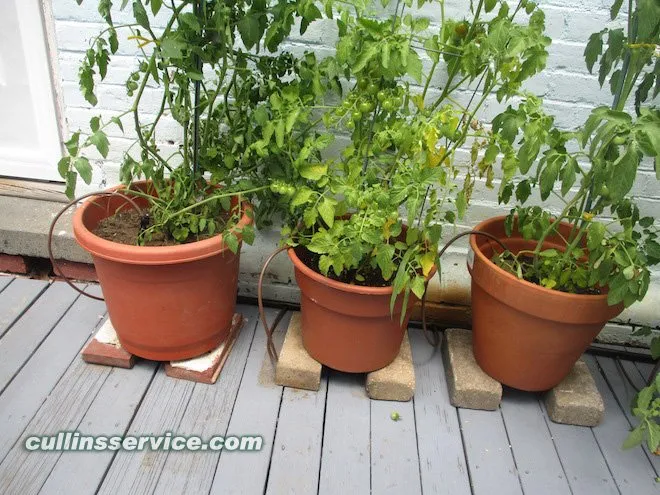 Affordable residential landscaping in Newton, MA by Cullins Service Landscaping, Inc