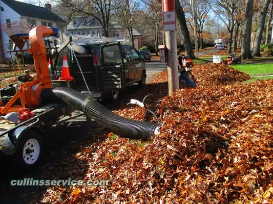 Cullins Service Landscaping, Inc Logo