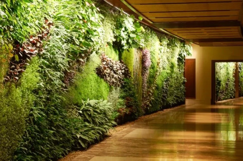 Expert residential landscaping in Williamson, AZ by Cultiv8 Arizona