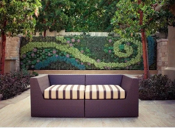 Reliable yard cleanup service in Williamson, AZ by Cultiv8 Arizona