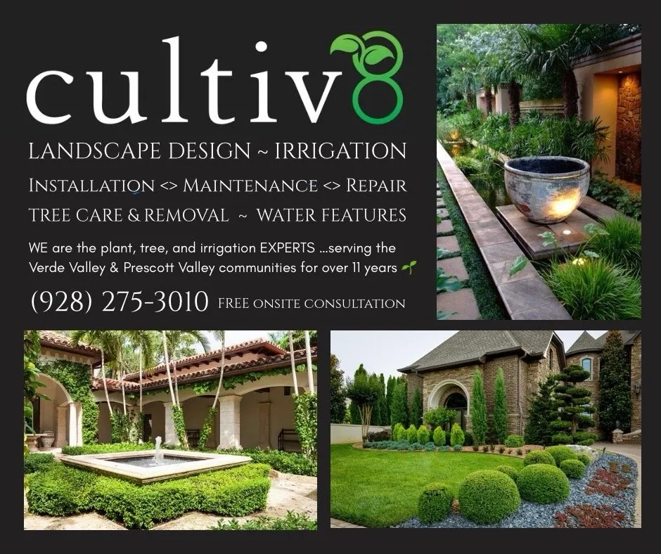 Expert yard cleanup service in Williamson, AZ by Cultiv8 Arizona