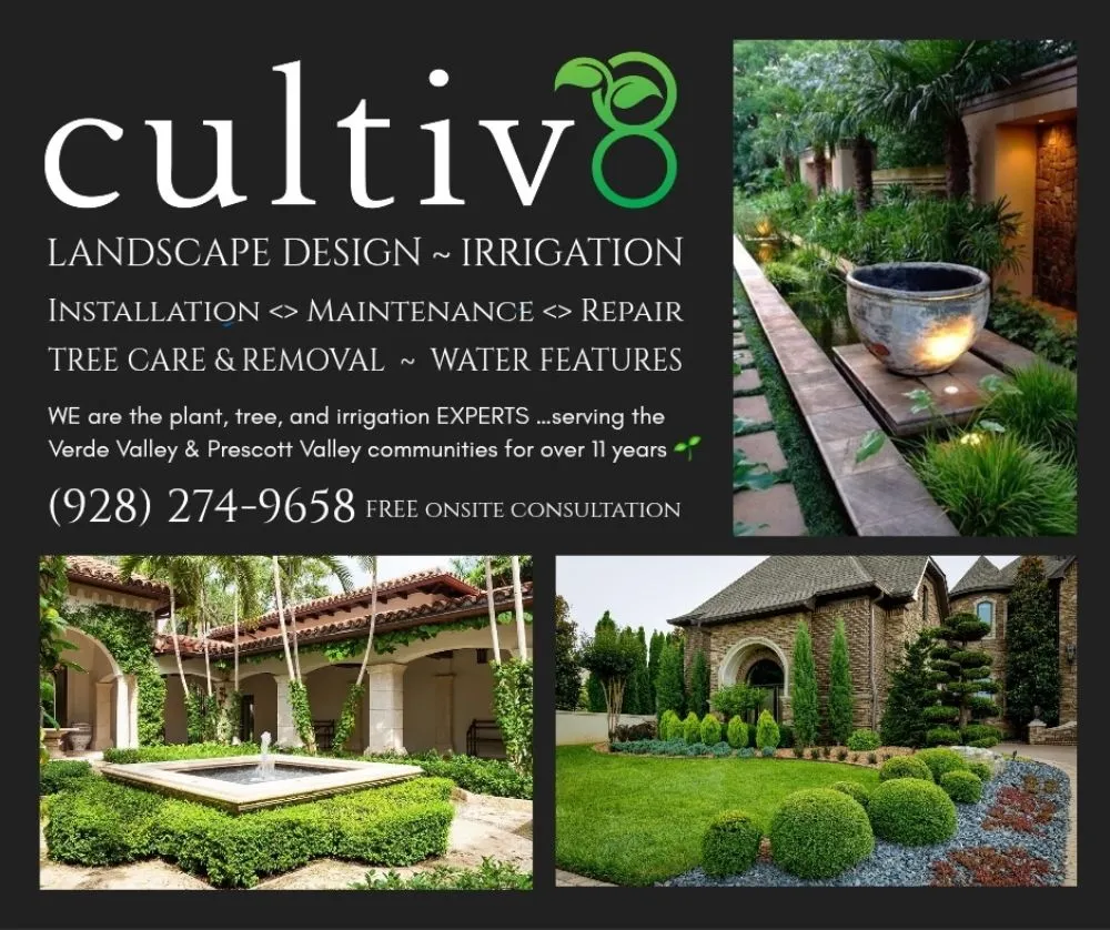 Professional landscape installation for year-round maintenance in Williamson, AZ by Cultiv8 Arizona