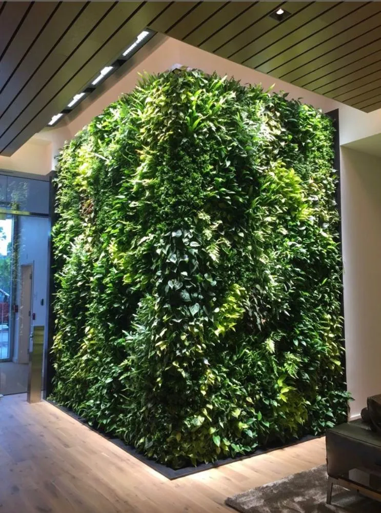 Expert outdoor landscaping in Williamson, AZ - Cultiv8 Arizona