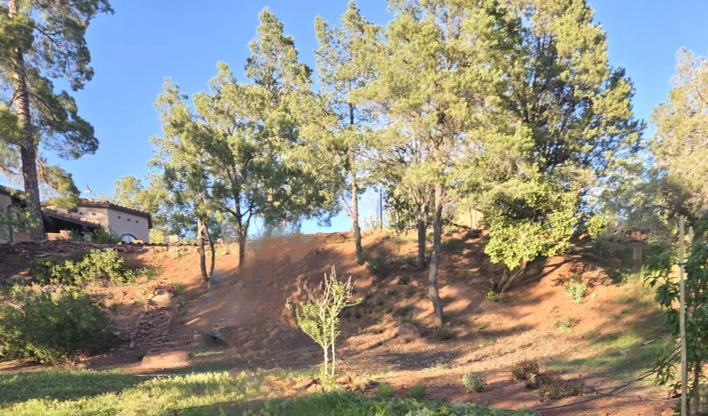 Professional outdoor landscaping experts serving Williamson, AZ - Cultiv8 Arizona