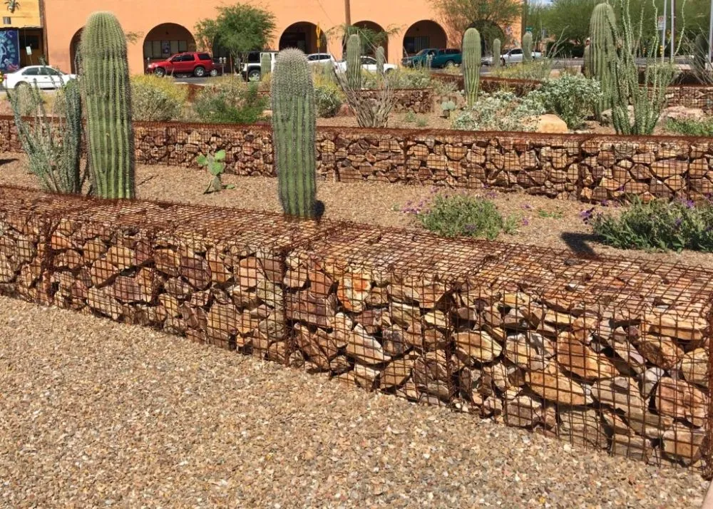 Top-rated yard maintenance for beautiful yards across Williamson, AZ - Cultiv8 Arizona