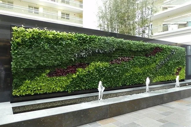 Trusted landscaping services experts serving Williamson, AZ - Cultiv8 Arizona