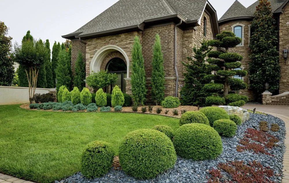 Professional yard cleanup service experts serving Williamson, AZ - Cultiv8 Arizona