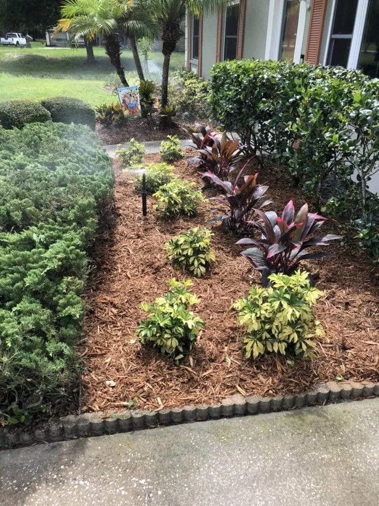 Expert lawn care service experts serving Odessa, FL - Cultiv8 Landscape Services