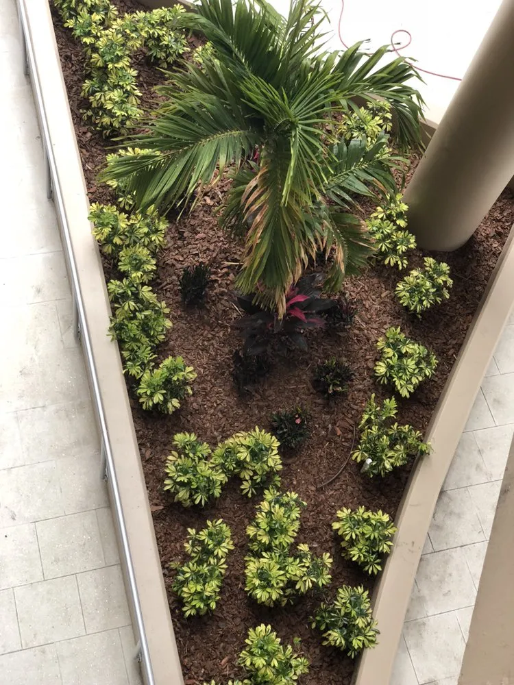 Affordable landscaping services for residential properties across Odessa, FL - Cultiv8 Landscape Services