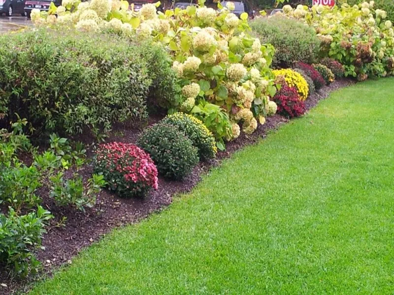 Professional garden landscaping in Odessa, FL by Cultiv8 Landscape Services