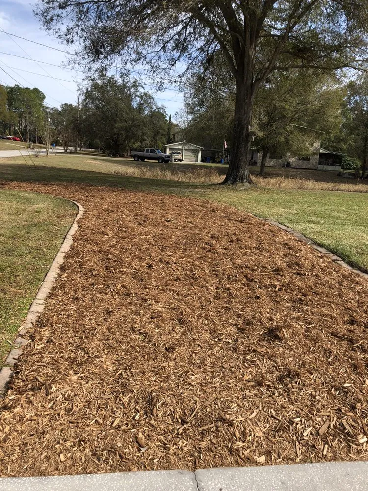 Top-rated residential landscaping in Odessa, FL by Cultiv8 Landscape Services