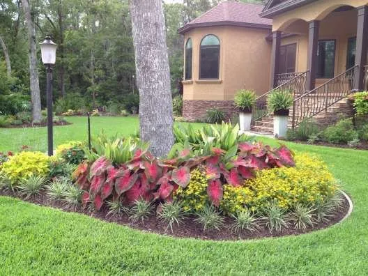 Trusted landscape design in Odessa, FL - Cultiv8 Landscape Services