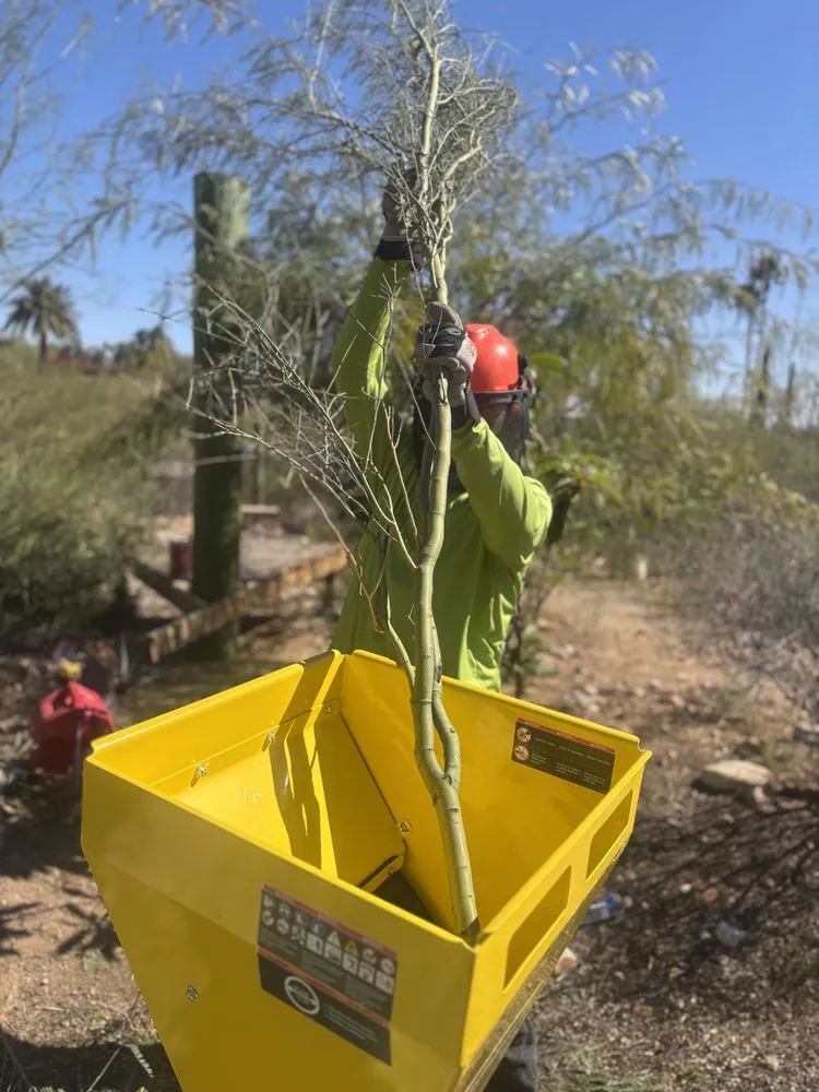 Trusted outdoor landscaping for residential properties across Tucson, AZ - Cultiva