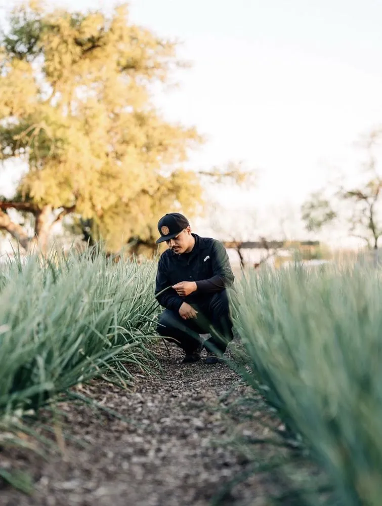 Affordable landscape installation for beautiful yards across Tucson, AZ - Cultiva