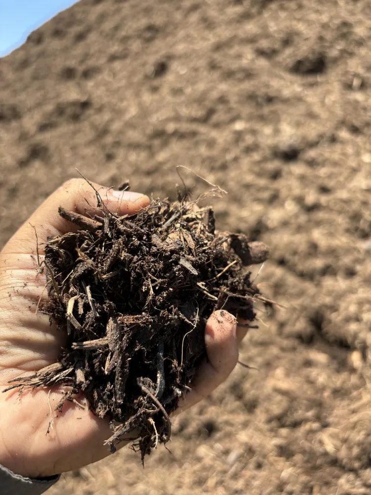 Professional landscape installation for homes in Tucson, AZ by Cultiva