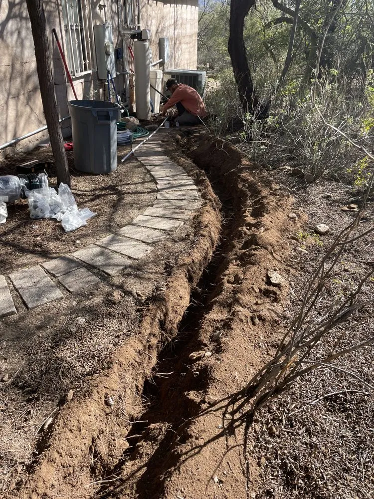 Professional landscaping services in Tucson, AZ by Cultiva