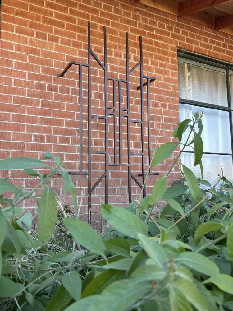 Affordable yard cleanup service in Tucson, AZ by Cultiva